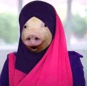 Islamicpig